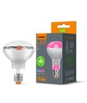 E27 9W LED vækstpære til planter - R80, 120°, 14 µmol/s, stimulerer vækst