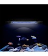 30-50 cm akvarie armatur - 6W LED, hvid/blå, justerbar