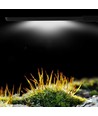 27,5 cm akvarie lampe - 10W LED, hvid/blå