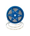 10m 15W/m 3-i-1 CCT LED strip, RA90 - 24V, 192 LED pr. meter, IP20, 10 meter rulle