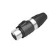 DMX XLR hunstik output - 3x1-2,5mm2