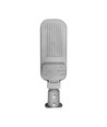 50W LED gadelampe - Ø60 mm, IP65, IK09, grå, 5 års garanti