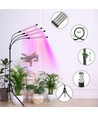 LEDlife vækstlys med stativ - Sort, 4 lamper, justerbar højde, fleksible arme