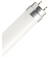 60cm / 8W T8 LED rør - 160lm/W, glas, Direkte/Ballast kompatibel, 6500K