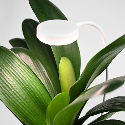 Fleksibel plantelys med spyd - 12W, timer