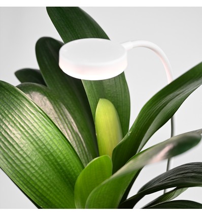 Fleksibel plantelys med spyd - 12W, timer