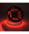 5m 19W/m RGB+CCT LED strip RA93 - 24V DC, 270 LED pr. meter, IP20