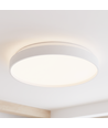RGBIC+CCT loftlampe - Ø48cm, 33W, inkl. fjernbetjening
