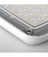30W LED projektør - 3-i-1 CCT, IP65