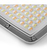 50W LED projektør - 3-i-1 CCT, IP65