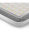 50W LED projektør CCT - IP65, 3 lyskulører, udendørs