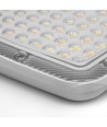 100W LED projektør - 3-i-1 CCT, IP65