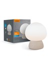 Genopladelig Mushroom LED bordlampe - RGB + 3000K kold hvid, transportabel