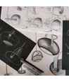 Outlet: Halo Design - D.C Bordlampe Ø18 E27, hvid / eg