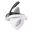 LEDlife 30W Downlight - justerbar vinkel, 4100lm, Hul: Ø15 cm, Mål: Ø16,5 cm, 230V