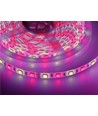 5m 10,8W/m RGB+WW LED strip - 60 LED pr. meter