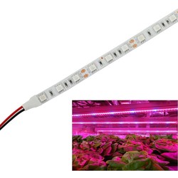 LED vækstlys 9,6W/m stænktæt vækst LED strip - 5m, 60 LED pr. meter, IP65