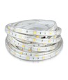 5m 4,8W/m stænktæt LED strip - IP65, 30 LED pr. meter