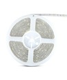 5m 4,8W/m stænktæt LED strip - IP65, 30 LED pr. meter